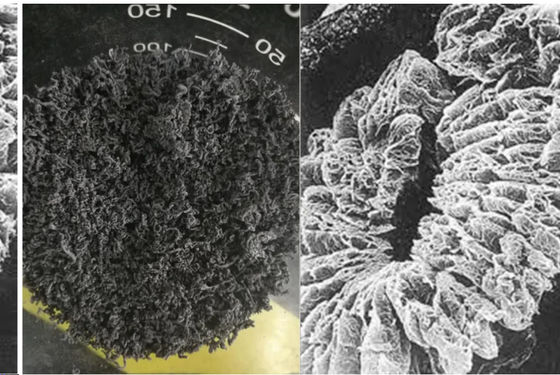 Графит сетки сетки +100 изготовителя +80 Китая высокуглеродистый 98% естественный расширенный используемый в машинном оборудовании